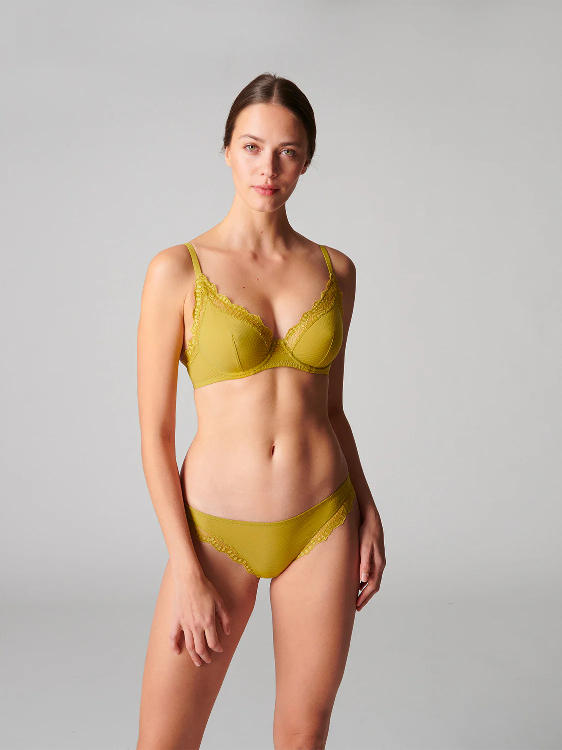 Brief - Matcha
